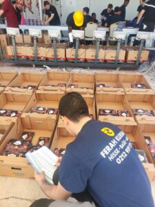 WhatsApp Imag22e 2026-03-26 at 2.50.37 PM