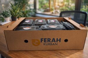 WhatsApp Image 2026-03-26 at 2.50.37 PM