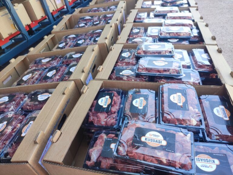 WhatsApp Image 2026-03-29 at 11.59.16 (1)